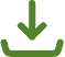 Download icon large